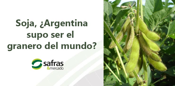 Blog Soja 2