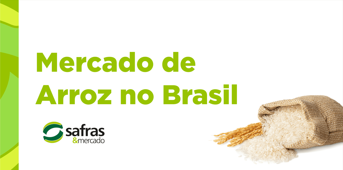 imagem-de-um-saco-de-arroz_frase_Mercado-de-Arroz-no-Brasil