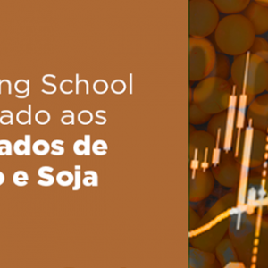 Curso Trading School Aplicado aos Mercados de Milho e Soja Safras Mercado