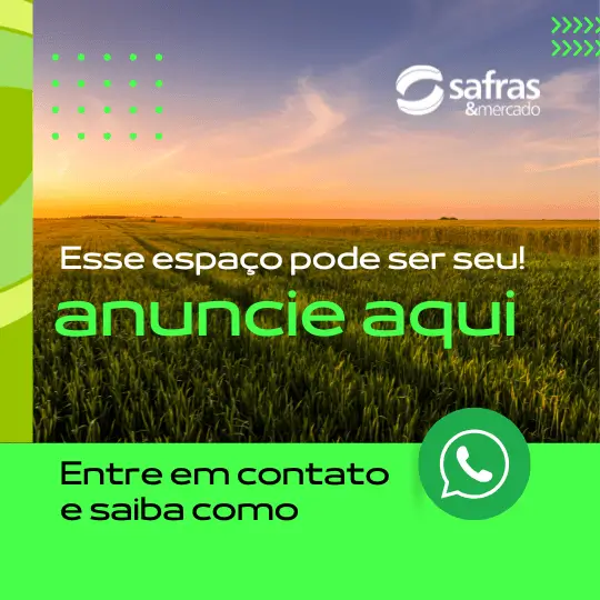 anuncie safras mercado